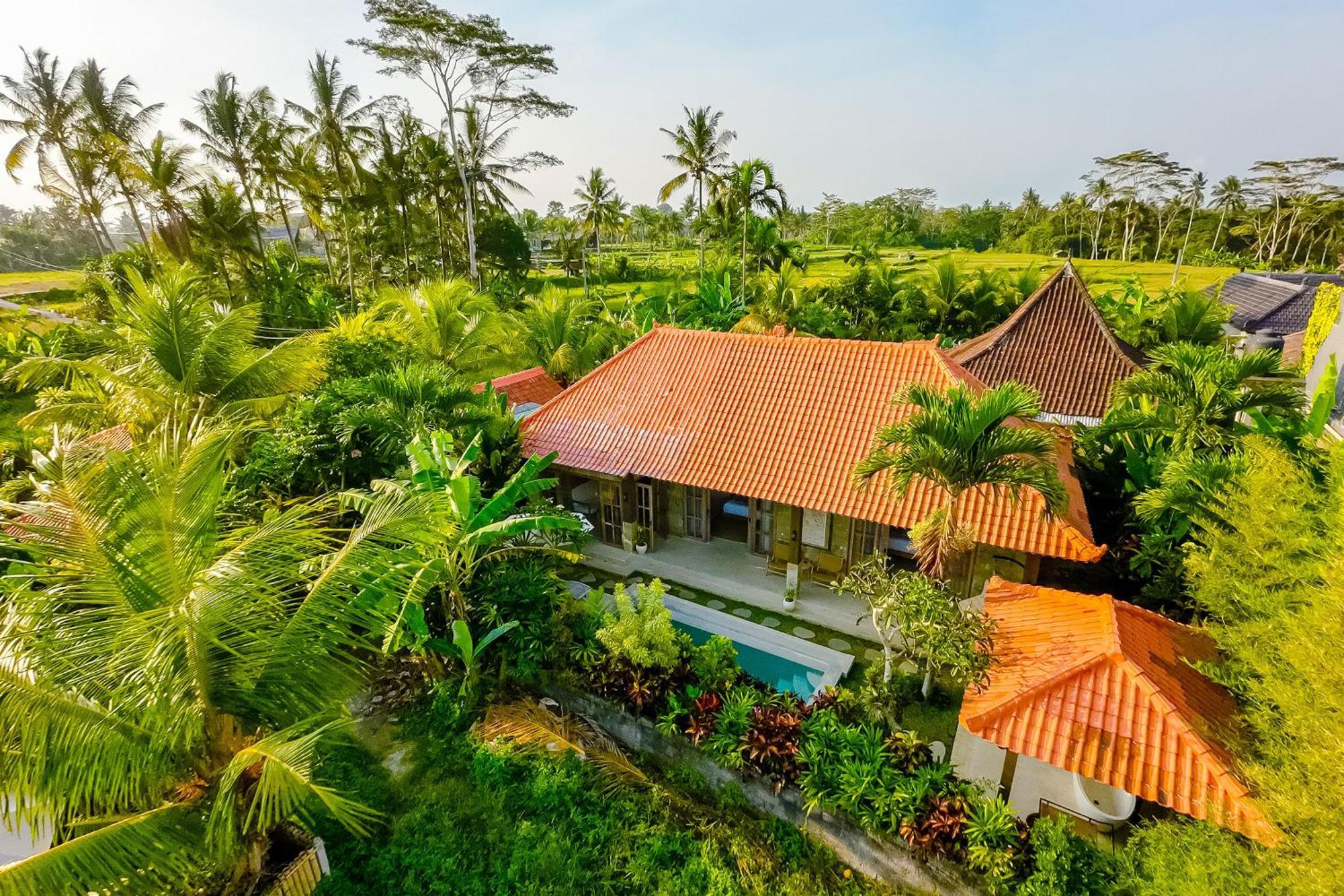 Nyaman Villas By Evdekimi Ubud Luaran gambar